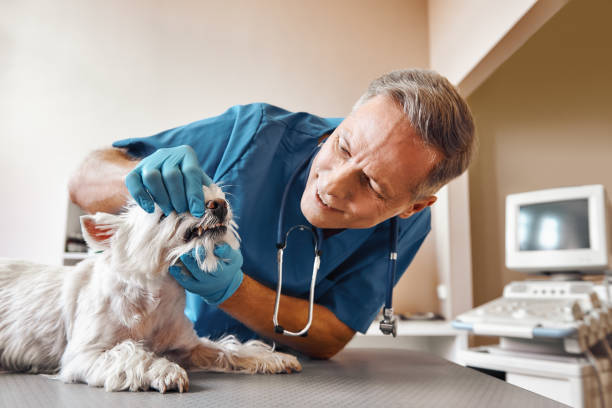 Best Tooth Pain Emergency Relief  in Goldenrod, FL